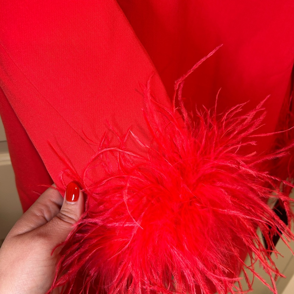 Tuckernuck Red Feather Mod Ellie Dress - Brand New with Tags- Size XL - Picture 9 of 10